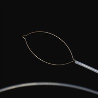 Phwang Mtundu Wamtundu Wakunja